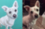 Pet Portrait by L. Hetherington