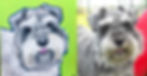 Pet Portrait by L. Hetherington