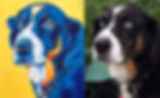 Pet Portrait by L. Hetherington