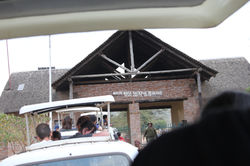 马赛马拉国家公园