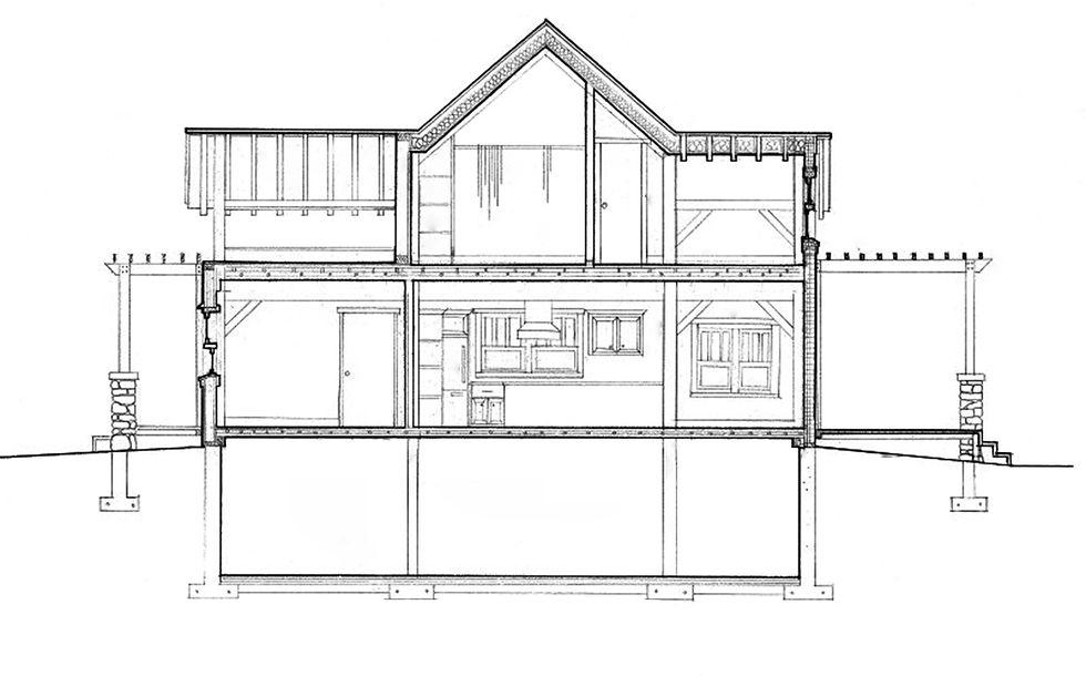 Longitudinal Section