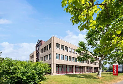 immagine3.jpg