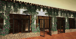 EL VERDE COMO ESTETICA