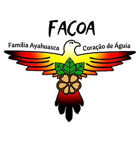 Novo Projeto (2).png