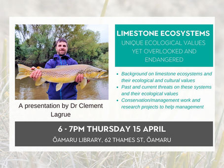 15.04.21 Public talk: LIMESTONE ECOSYSTEMS