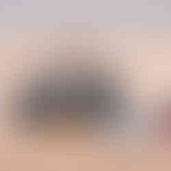 matériel de kitesurf adapté aux débutants à Dakhla