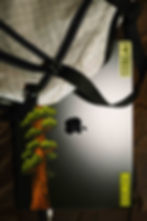 Thumbnail: Giant Redwood Infinity Sticker