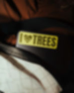 Thumbnail: Giant Redwood Infinity Sticker