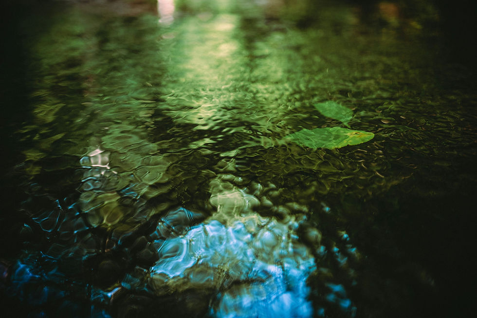 brandon-tokaji-GfNk7NZ-KbQ-unsplash.jpg