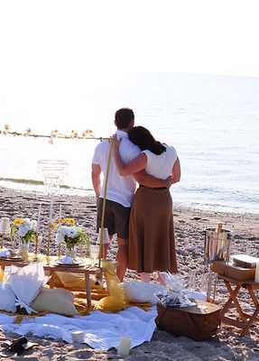 Beach Proposal with Picnic
