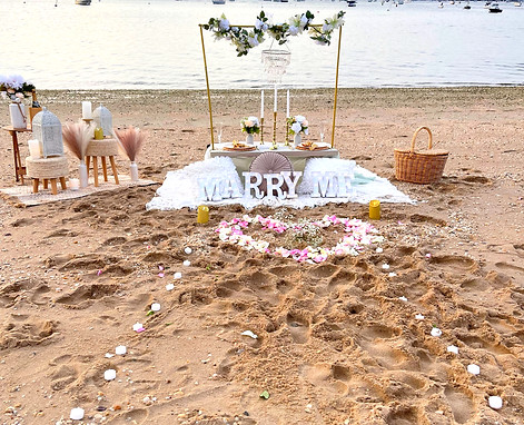 Proposal Picnic