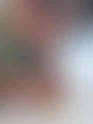 Association Tadaïma - Juin 2025