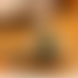 Rika IIMORI - Atelier de thé du 11/01/2026