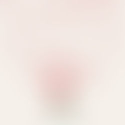 🎄 Merry Christmas and Happy New Year from Environmental Marine Technology! 🎄