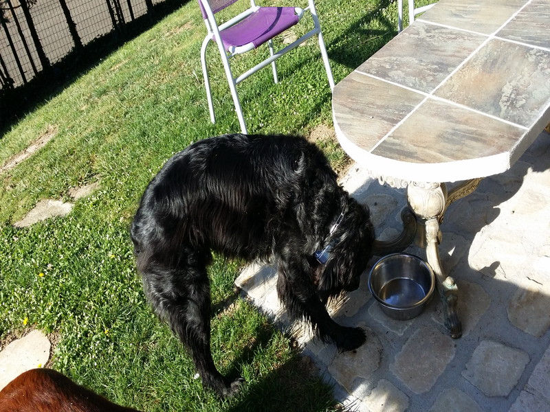 01214_Isis & Cie.jpg