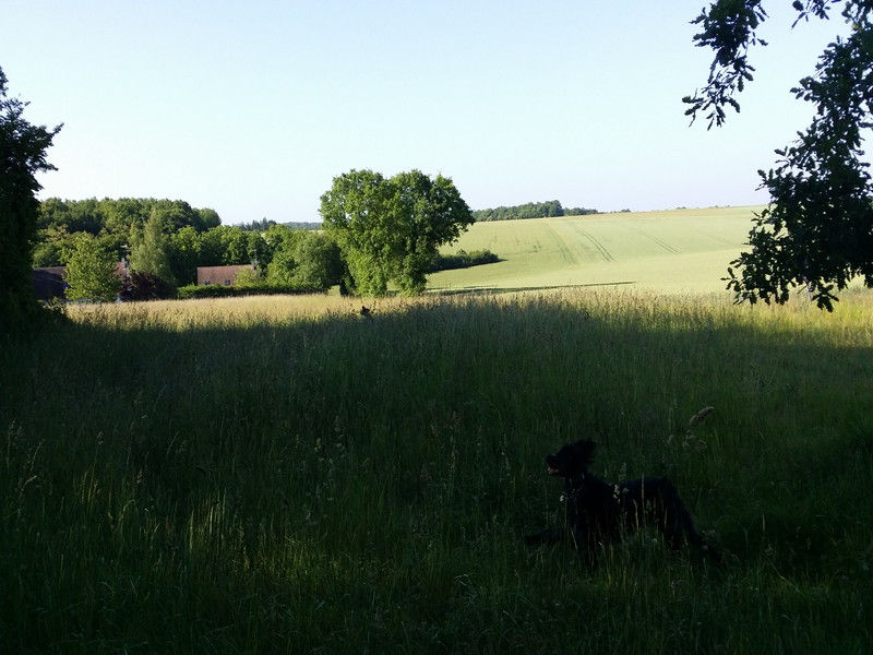 01197_Isis & Cie.jpg