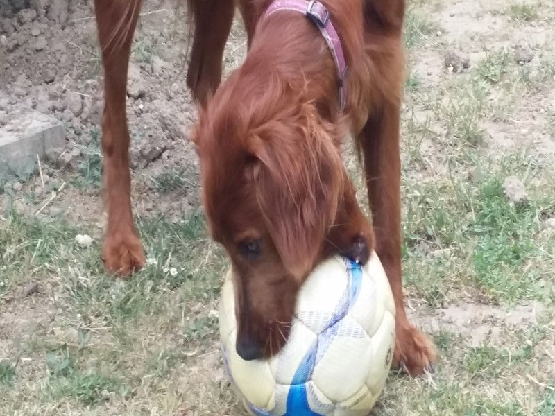 01749_Isis & Cie.jpg