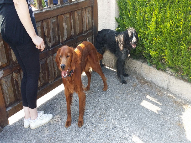 01582_Isis & Cie.jpg