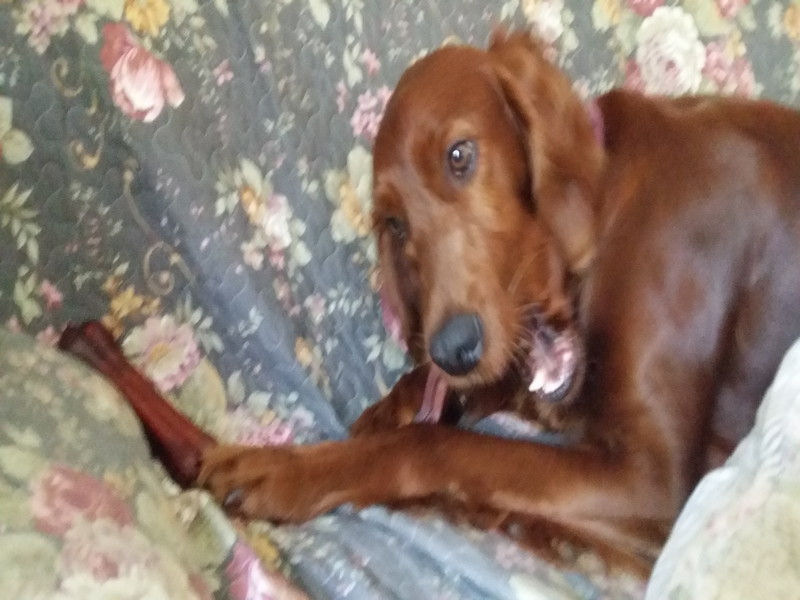 00023_Isis & Cie.jpg