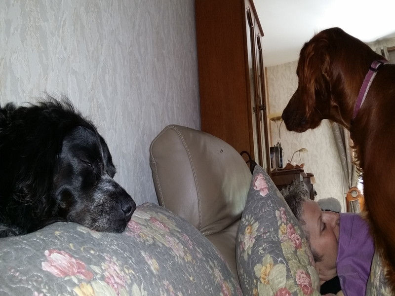 00920_Isis & Cie.jpg