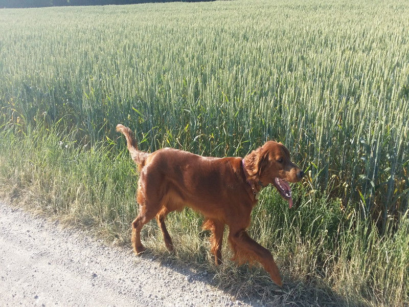 01417_Isis & Cie.jpg