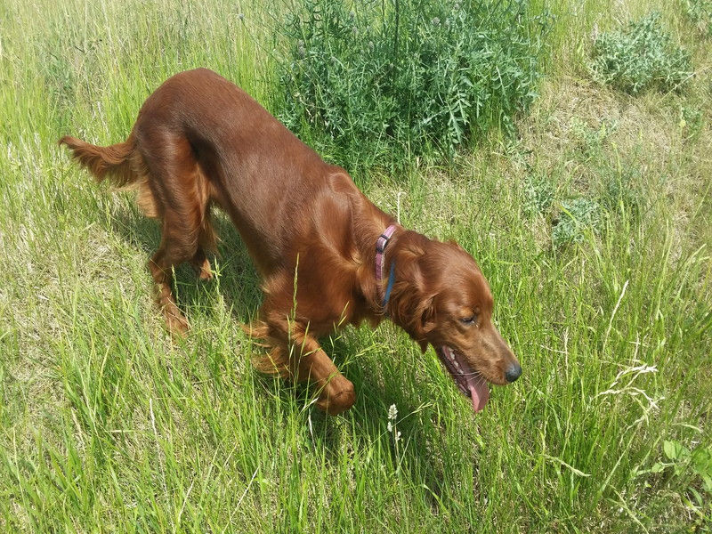 02098_Isis & Cie.jpg