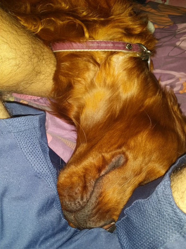 00384_Isis & Cie.jpg