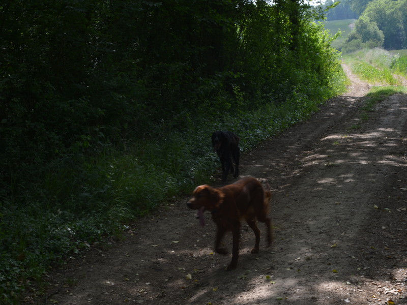 01568_Isis & Cie.jpg