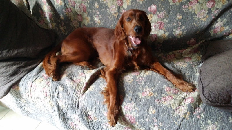 03147_Isis & Cie.jpg