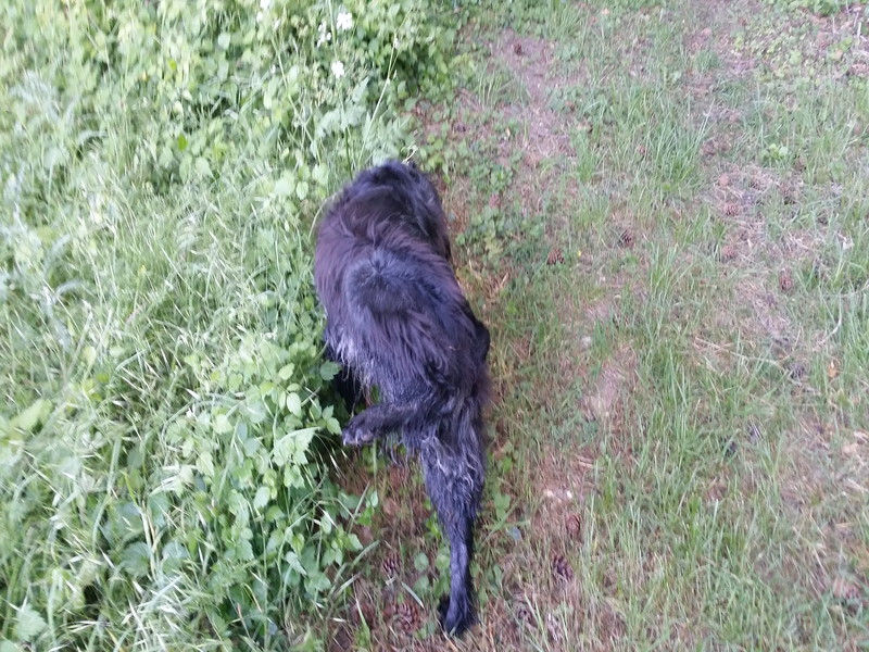 00233_Isis & Cie.jpg