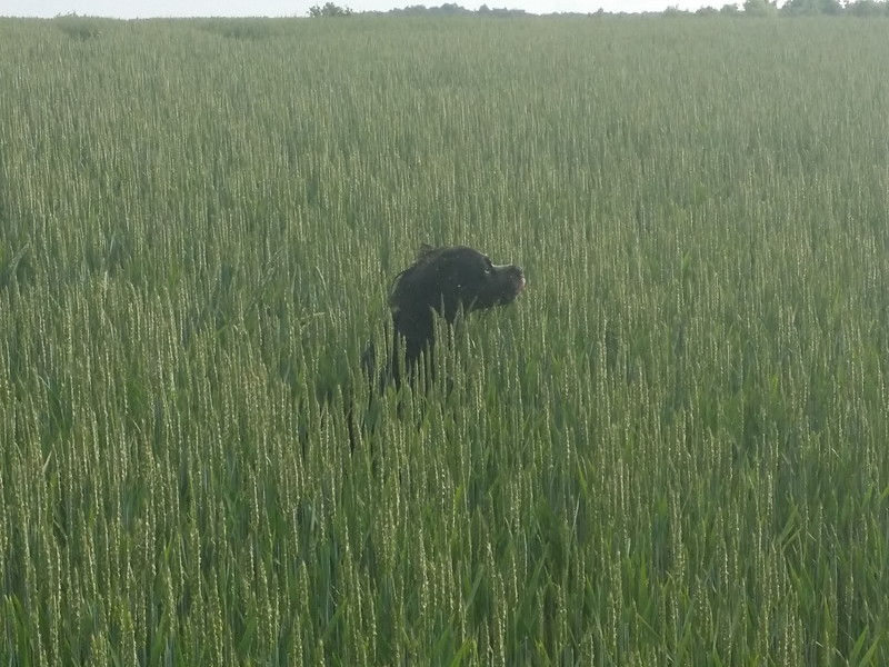 00626_Isis & Cie.jpg