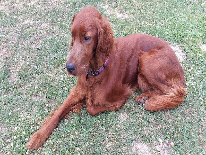 02296_Isis & Cie.jpg