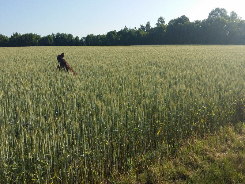 01444_Isis & Cie.jpg