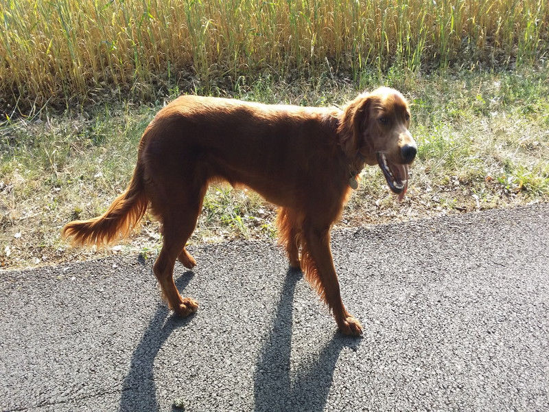 02304_Isis & Cie.jpg