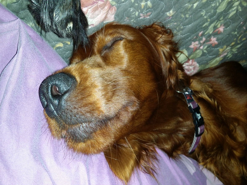 10021_Isis & Cie.jpg