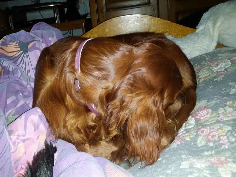 00561_Isis & Cie.jpg