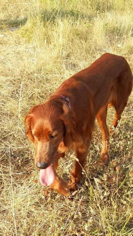 03137_Isis & Cie.jpg