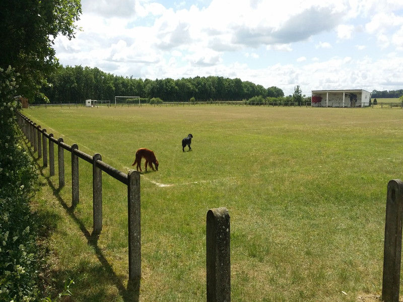 01695_Isis & Cie.jpg