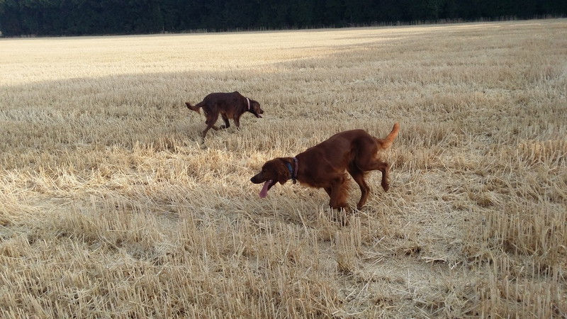 04226_Isis & Cie.jpg