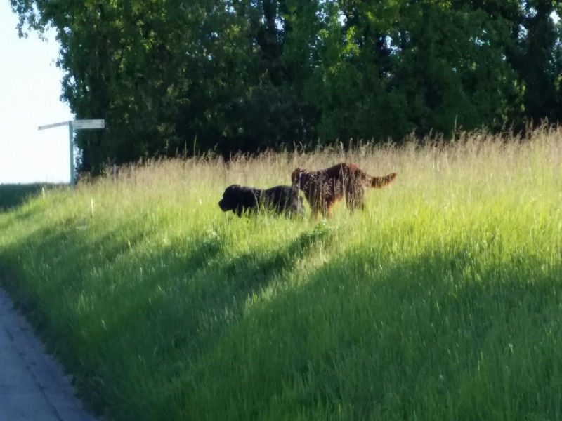 00266_Isis & Cie.jpg