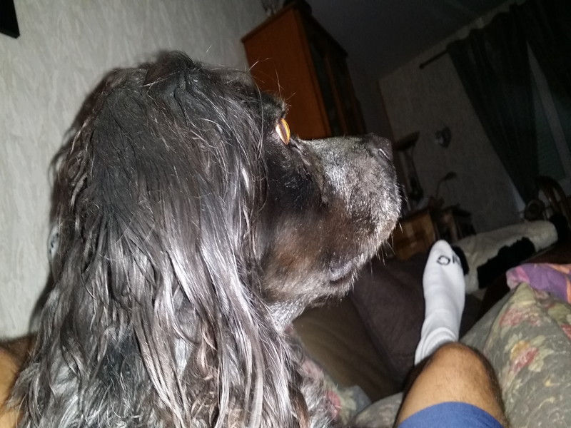 00113_Isis & Cie.jpg