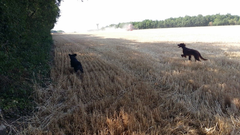 03897_Isis & Cie.jpg