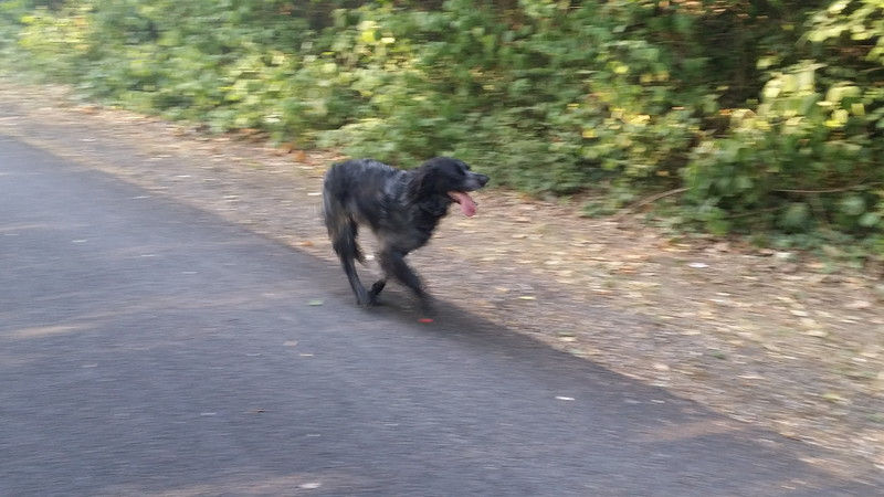 04199_Isis & Cie.jpg