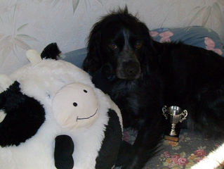 Coucou Mon "Frérot"...