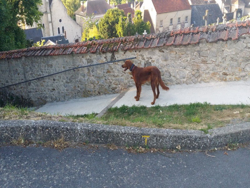 01771_Isis & Cie.jpg