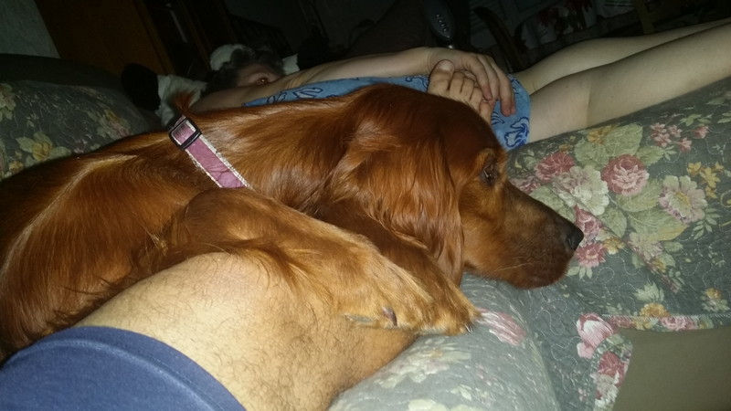 03297_Isis & Cie.jpg