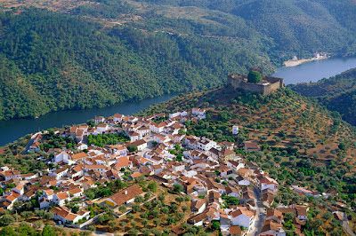 View of a village from above, with a river and castle in the distance. Green forest on the far side of the river.