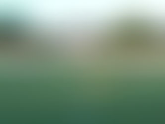 PRETEMPORADA: UCAM Murcia CF 0-1 Club Atco Pulpileño