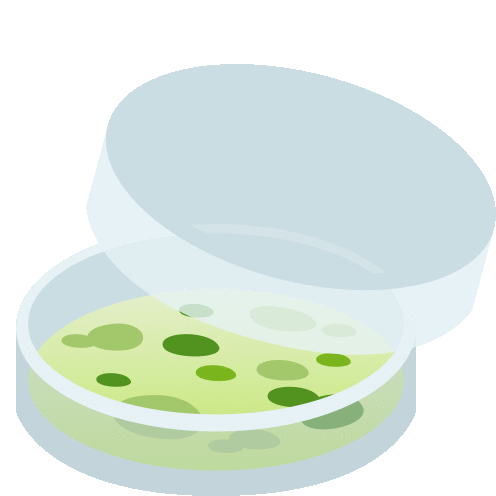 ree
