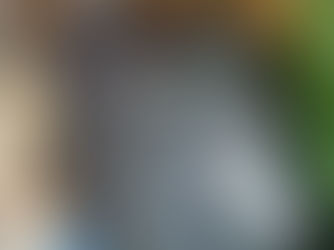 ¿CONOCES LA RENTABILIDAD DE TU EXPLOTACION BOVINA?